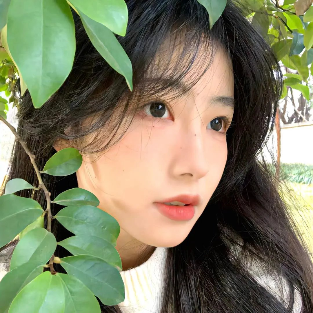 从你的全世界路过